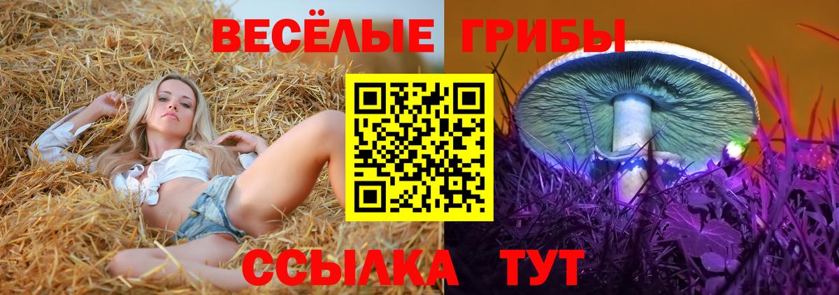 Галлюциногенные грибы Magic Shrooms Котовск